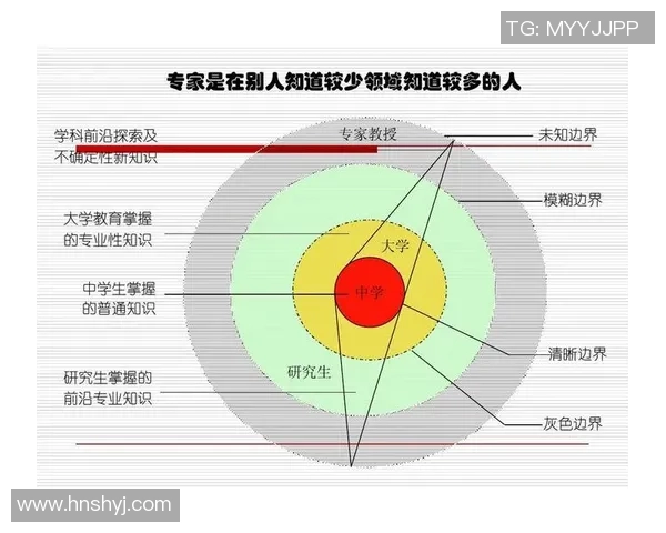 本土拓展与中央脉搏的协同发展探讨与思考